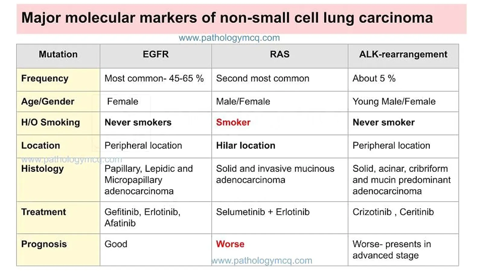 Important molecular markers of non small cell lung carcinoma