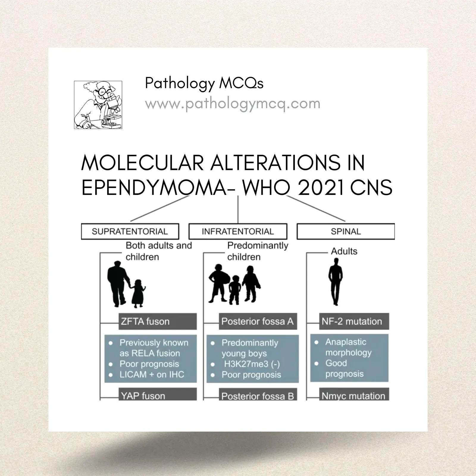 MOLECULAR ALTERATIONS IN EPENDYMOMA