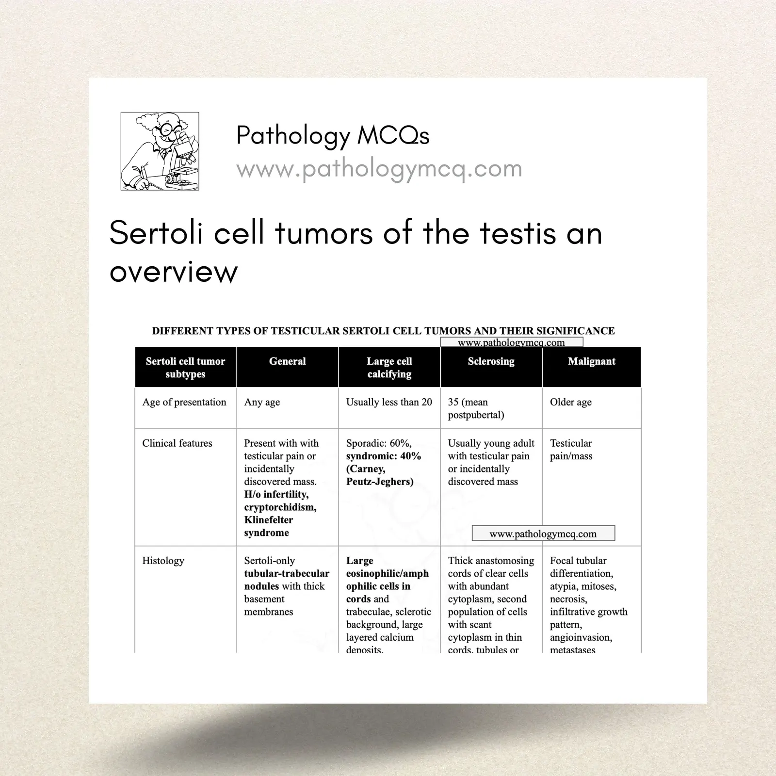 Sertoli cell tumors of the testis an overview