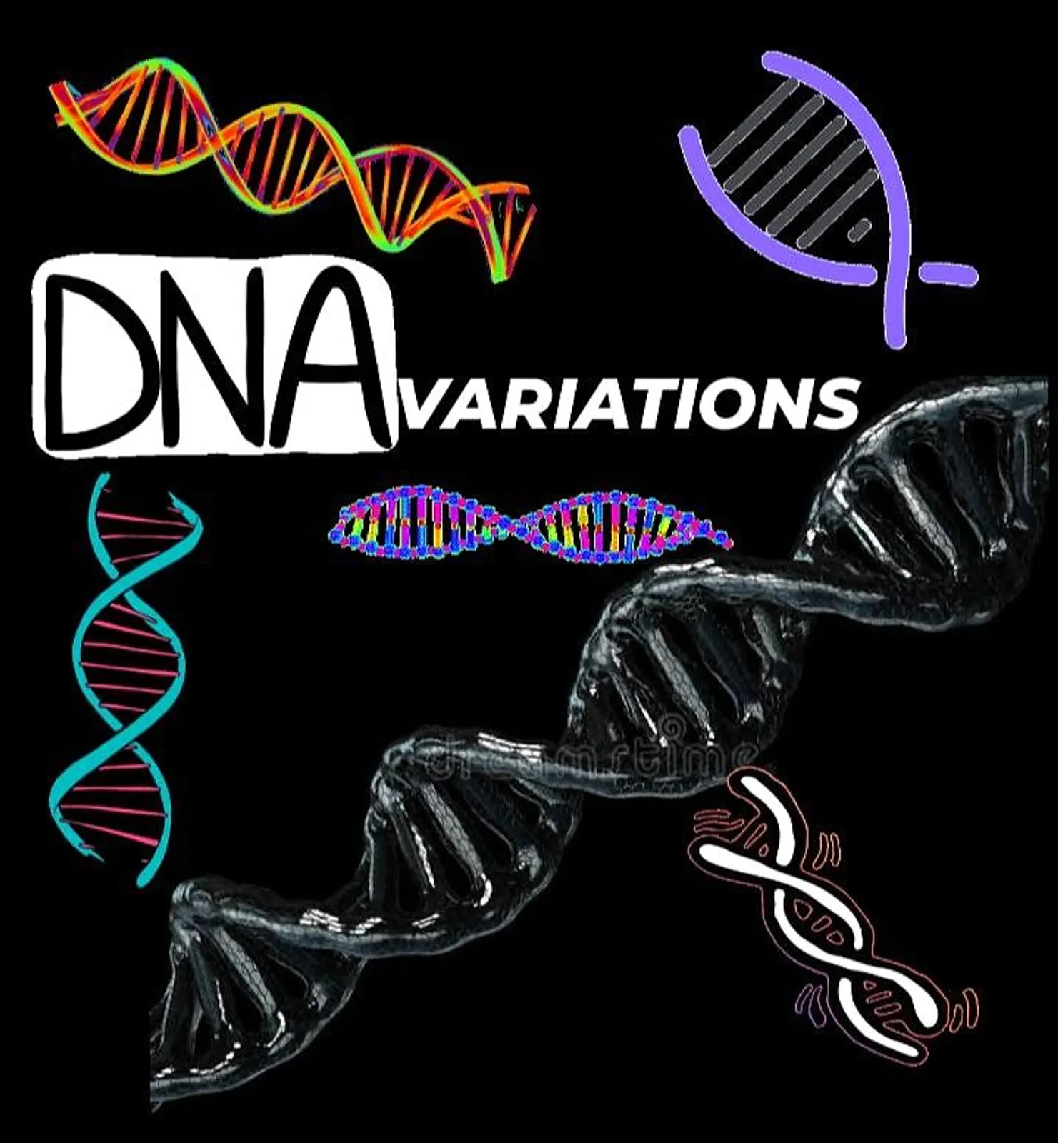 Differences between the types of human DNA variations