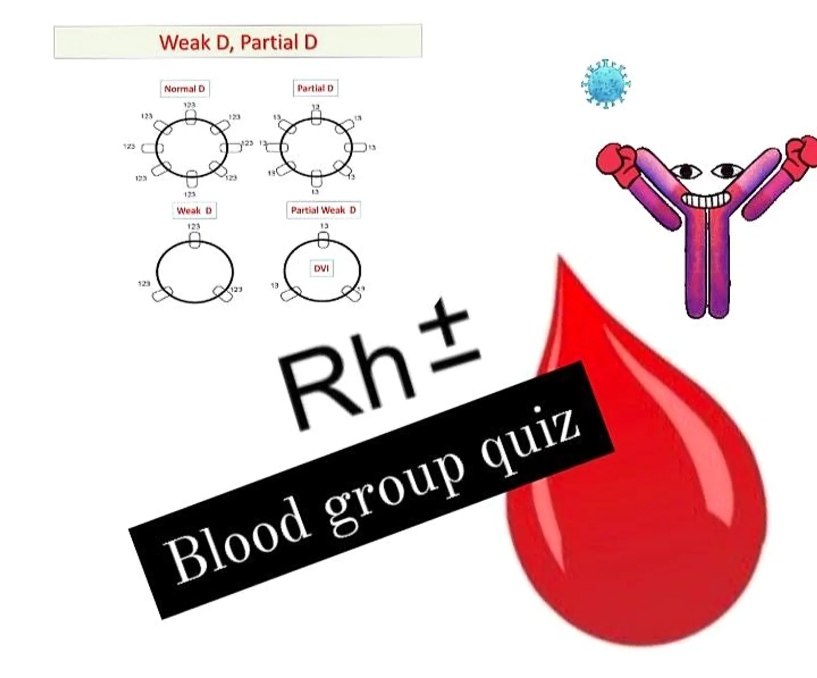 Test your knowledge rh blood group system quiz