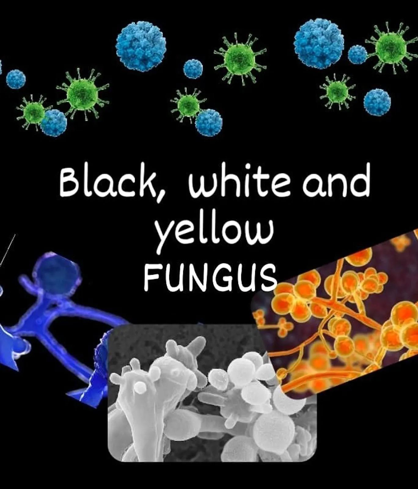 BLACK FUNGUS WHITE FUNGUS AND YELLOW FUNGUS.