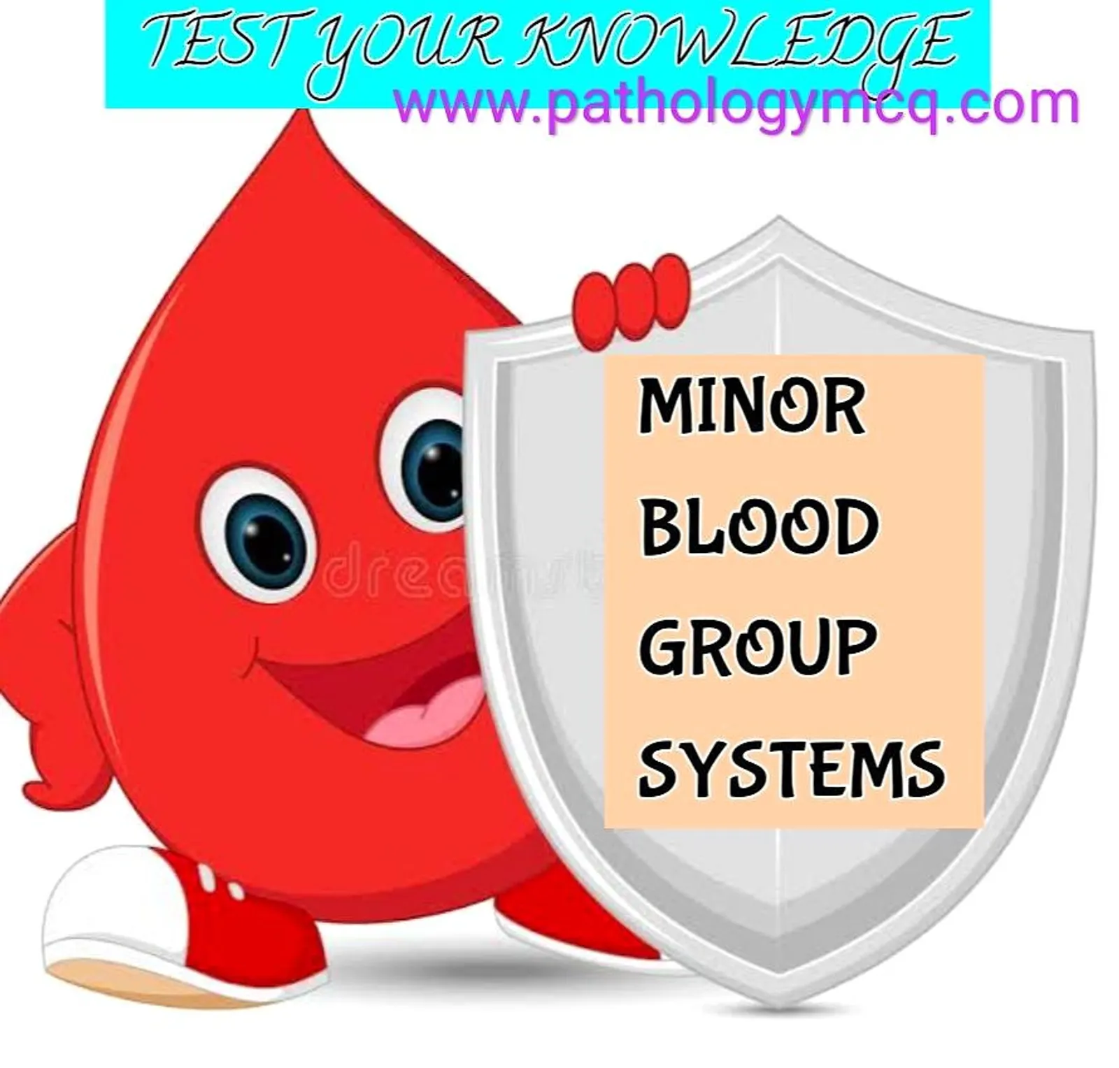 Minor blood group systems quiz