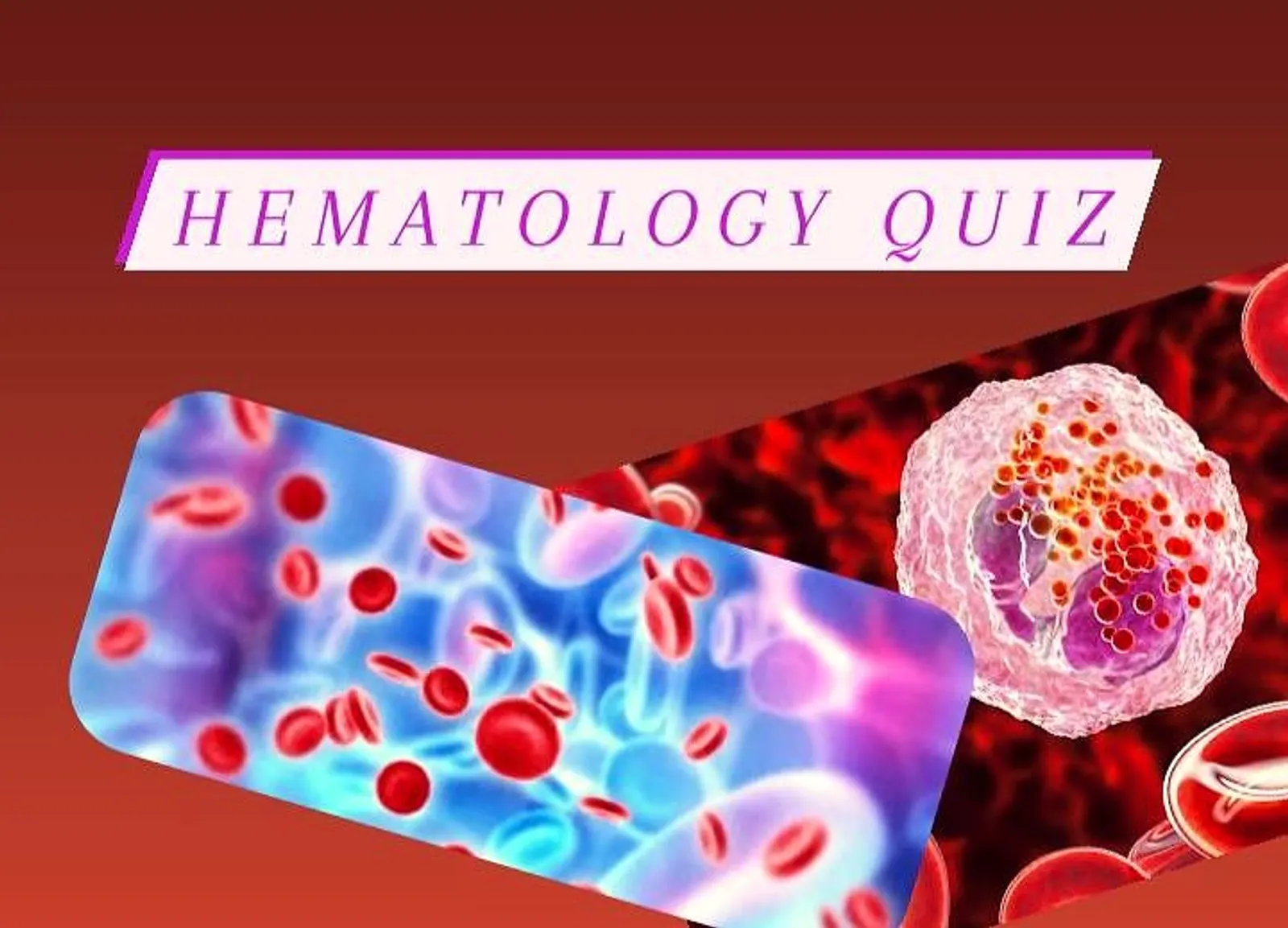 Hematology multiple choice questions quiz. Hematology quiz with answers and explanation. 