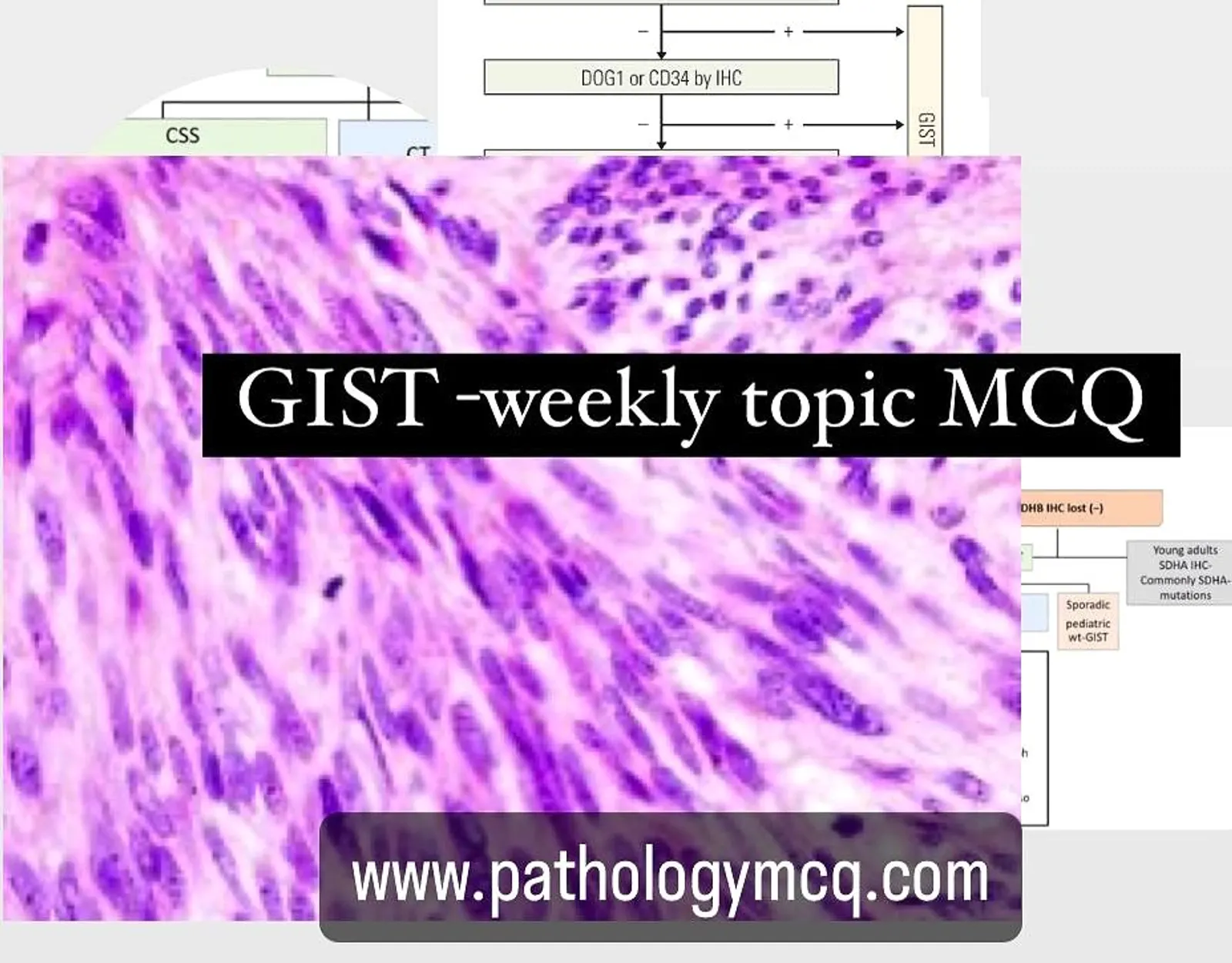 Weekly topic covering MCQs- GIST (Gastrointestinal stromal tumor)