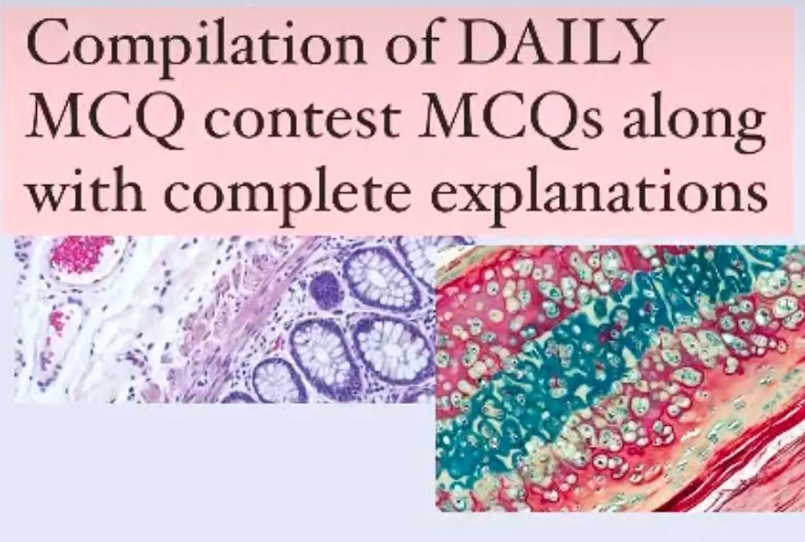 Daily MCQ contest-Full MCQ compilation with explanations