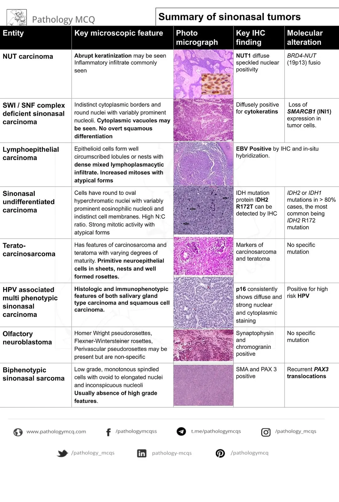 Summary of sinonasal tumors- with latest updates- Weekly topic discussion