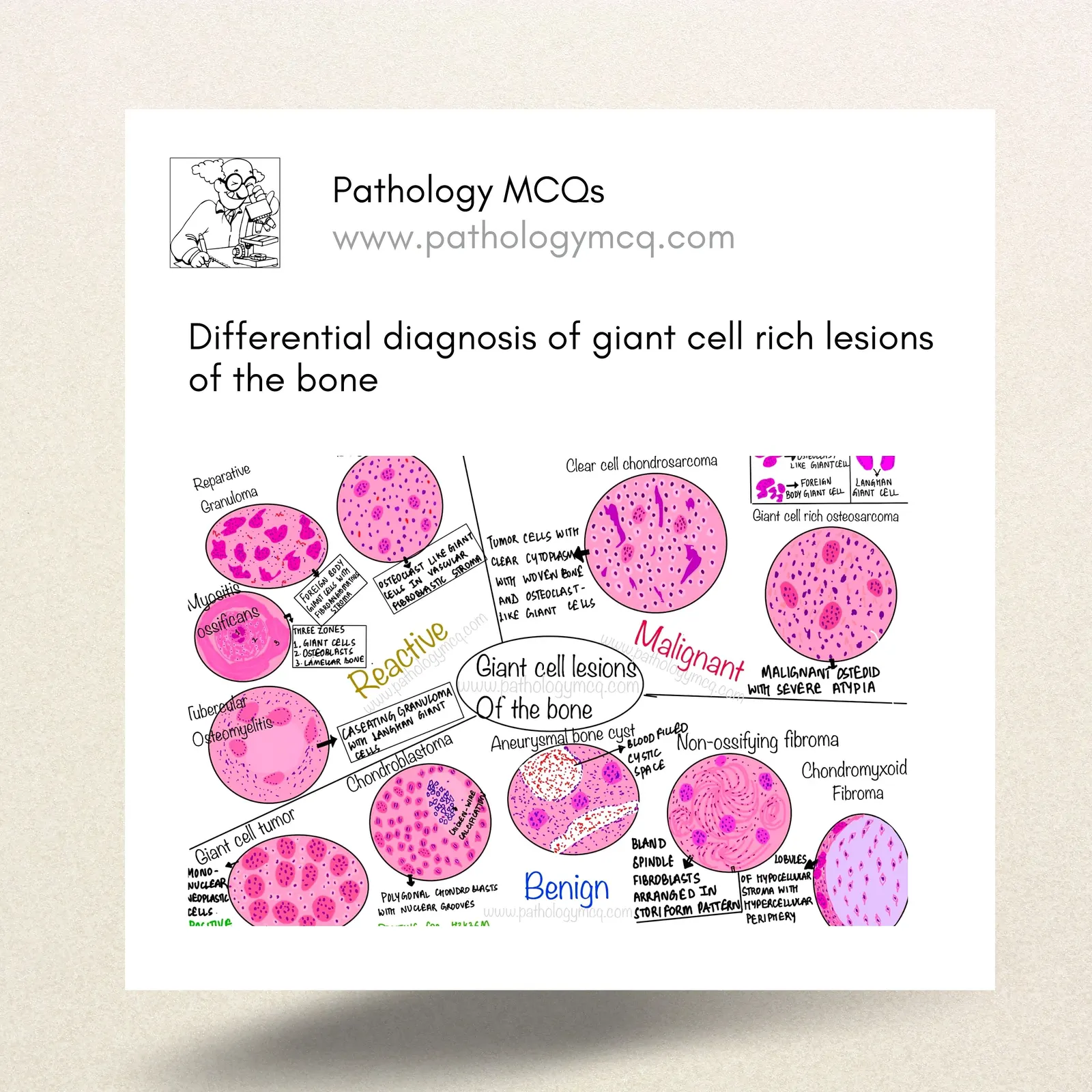 Differential Diagnosis of Giant Cell-Rich Bone Lesions