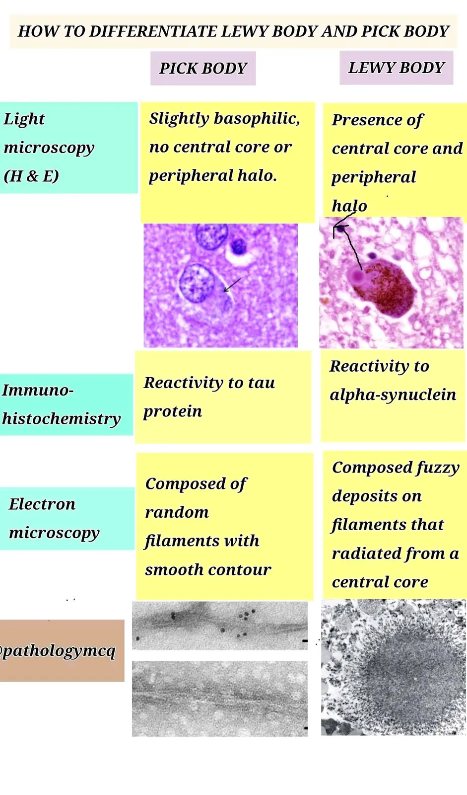 5 ways to differentiate Lewy body and Pick body in a brain biopsy or during autopsy