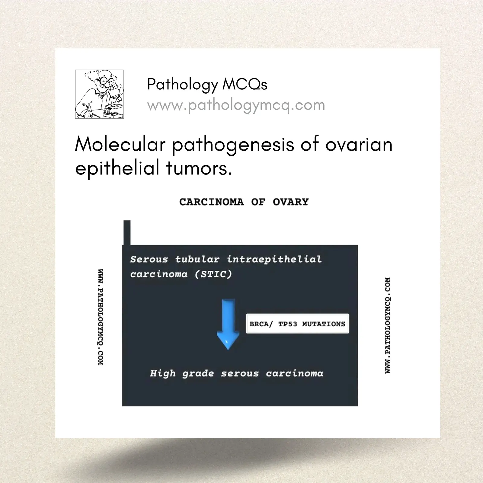 Molecular pathogenesis of ovarian epithelial tumors.