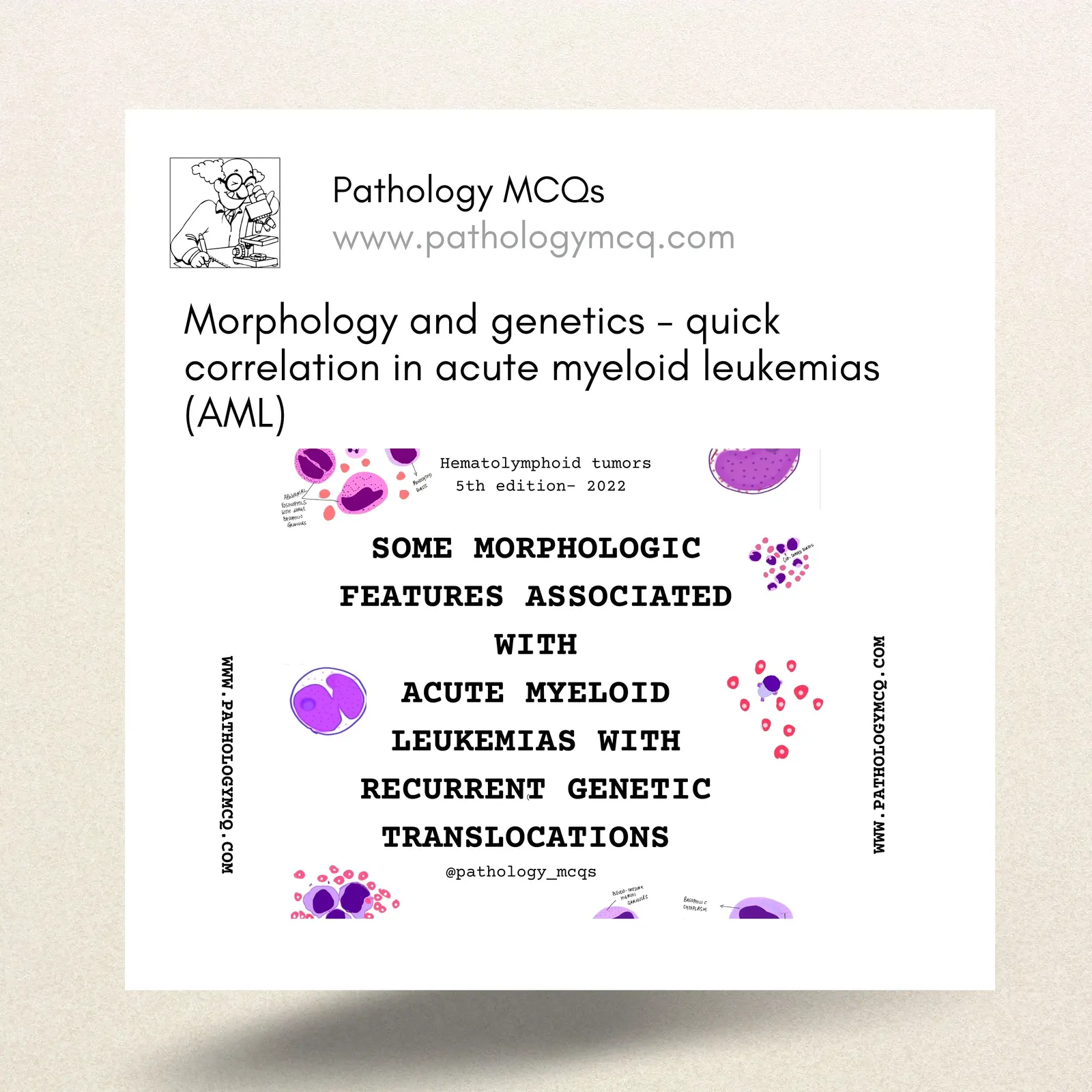 MORPHOLOGY AND GENETICS - QUICK CORRELATION IN ACUTE MYELOID LEUKEMIAS (AML)