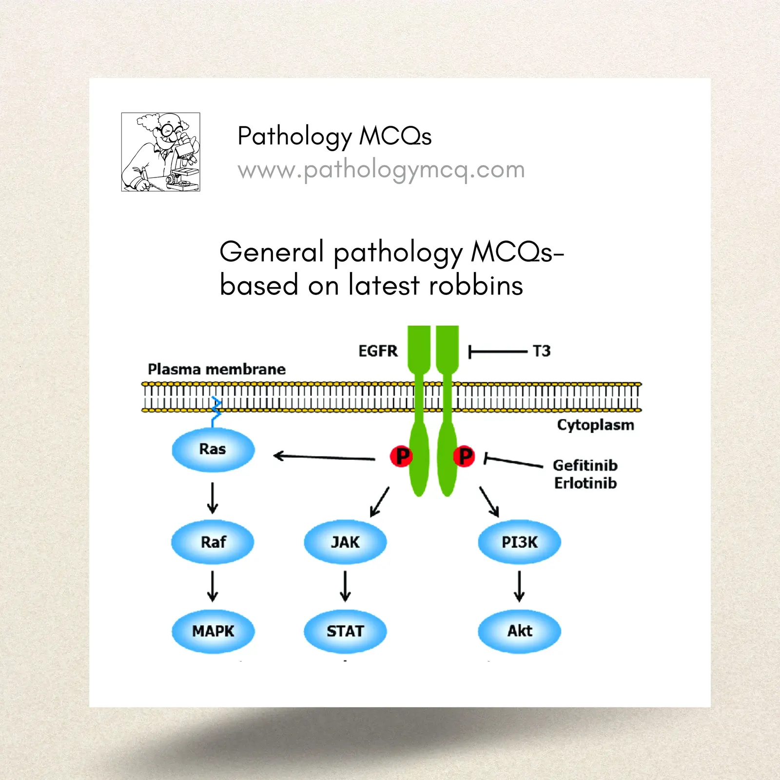 Growth Factors and Receptors — Gatekeepers of Cellular Fate