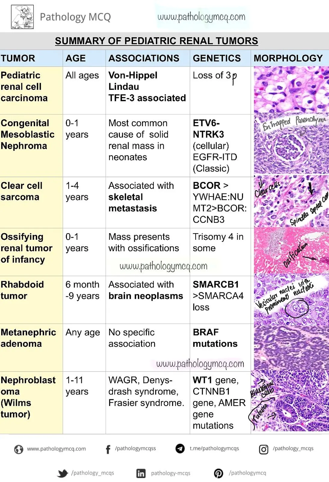 SUMMARY OF PEDIATRIC RENAL TUMORS