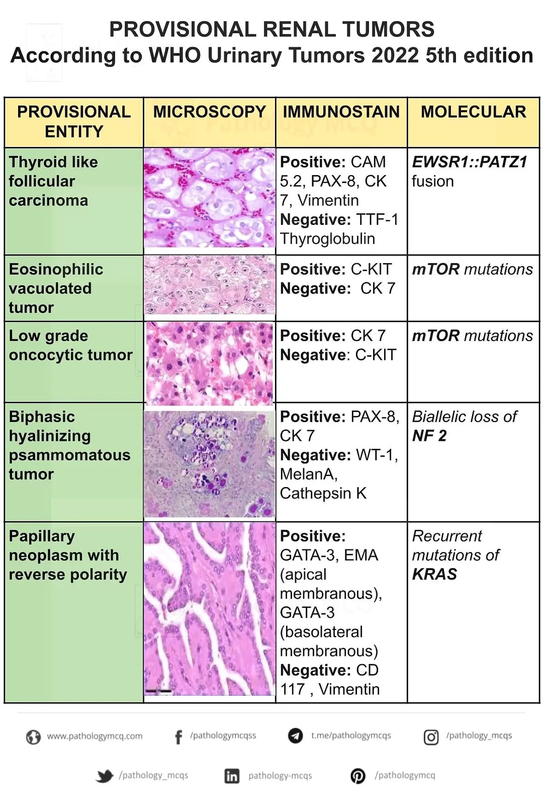 Summary of provisional renal tumors-according to WHO 2022 urinary tumors 5th edition