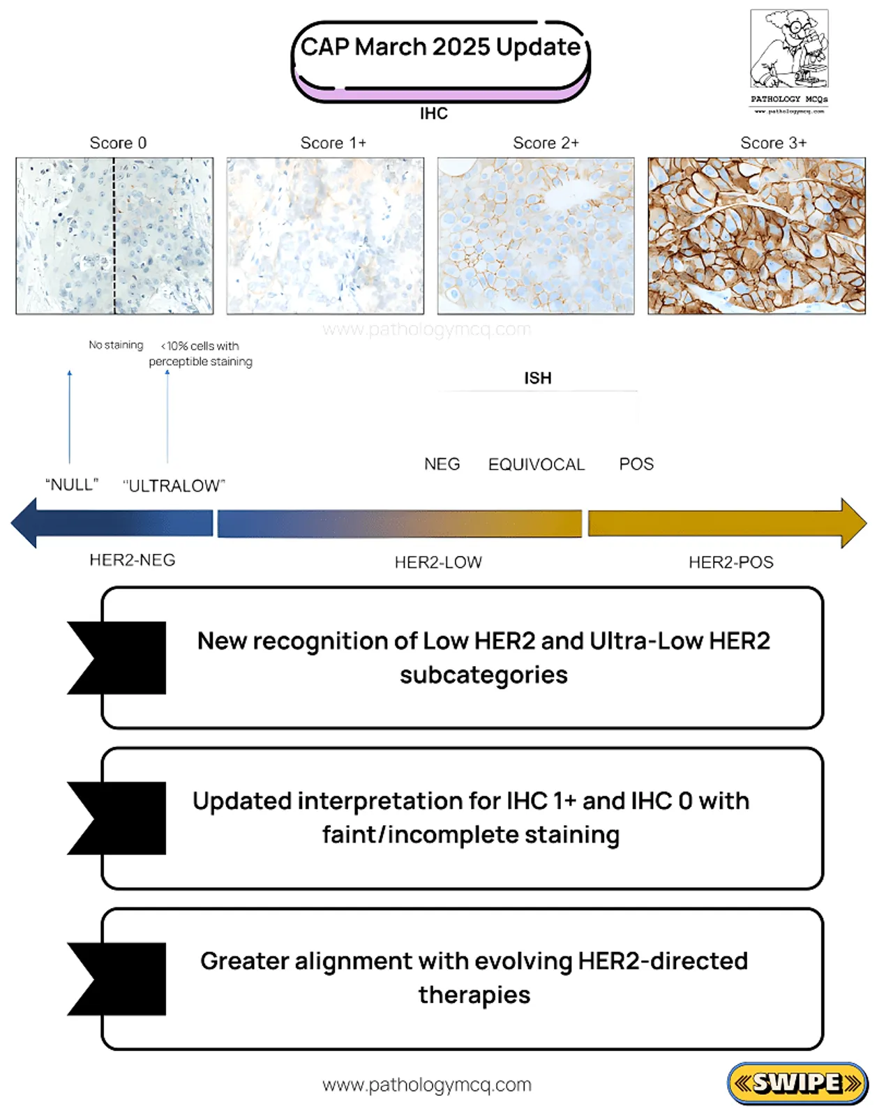 CAP March 2025 HER2 IHC update chart illustrating Low and Ultra-Low HER2 classification and staining interpretation