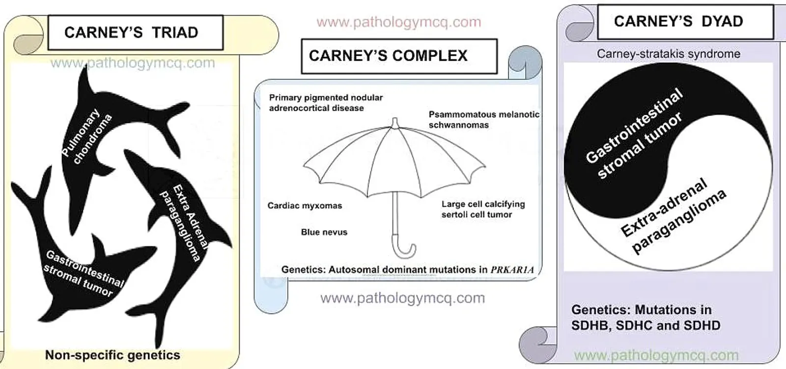 Carney’s confusion
