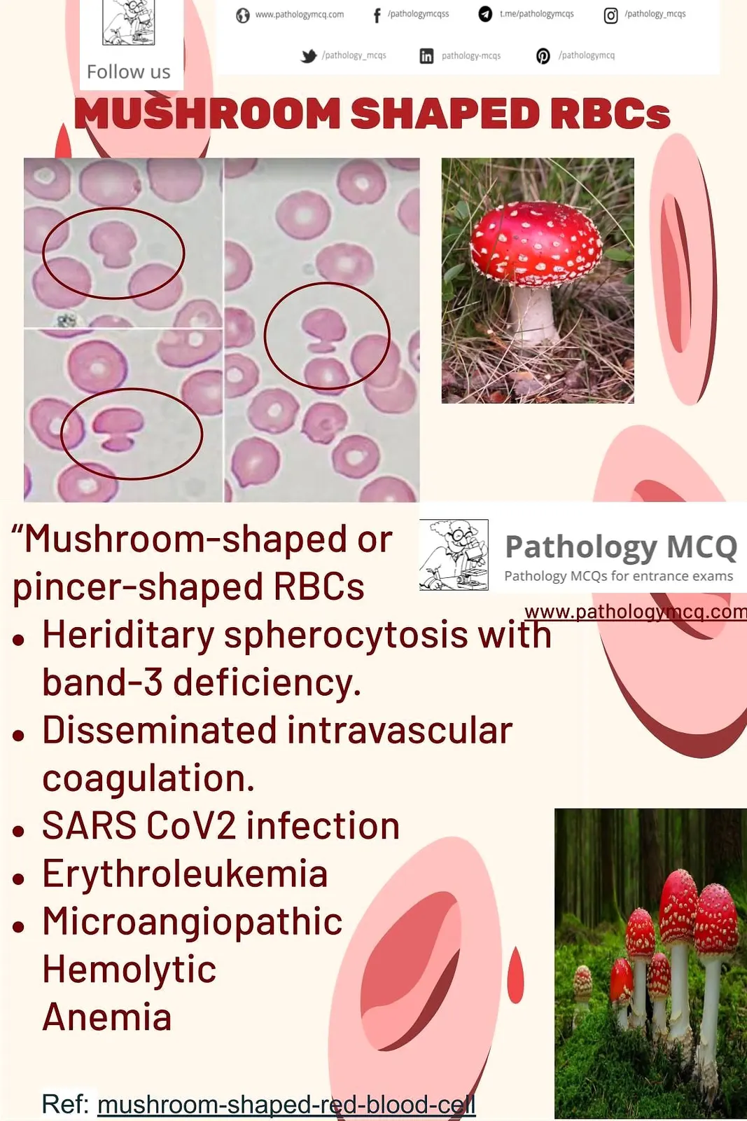 Mushroom shaped red blood cells