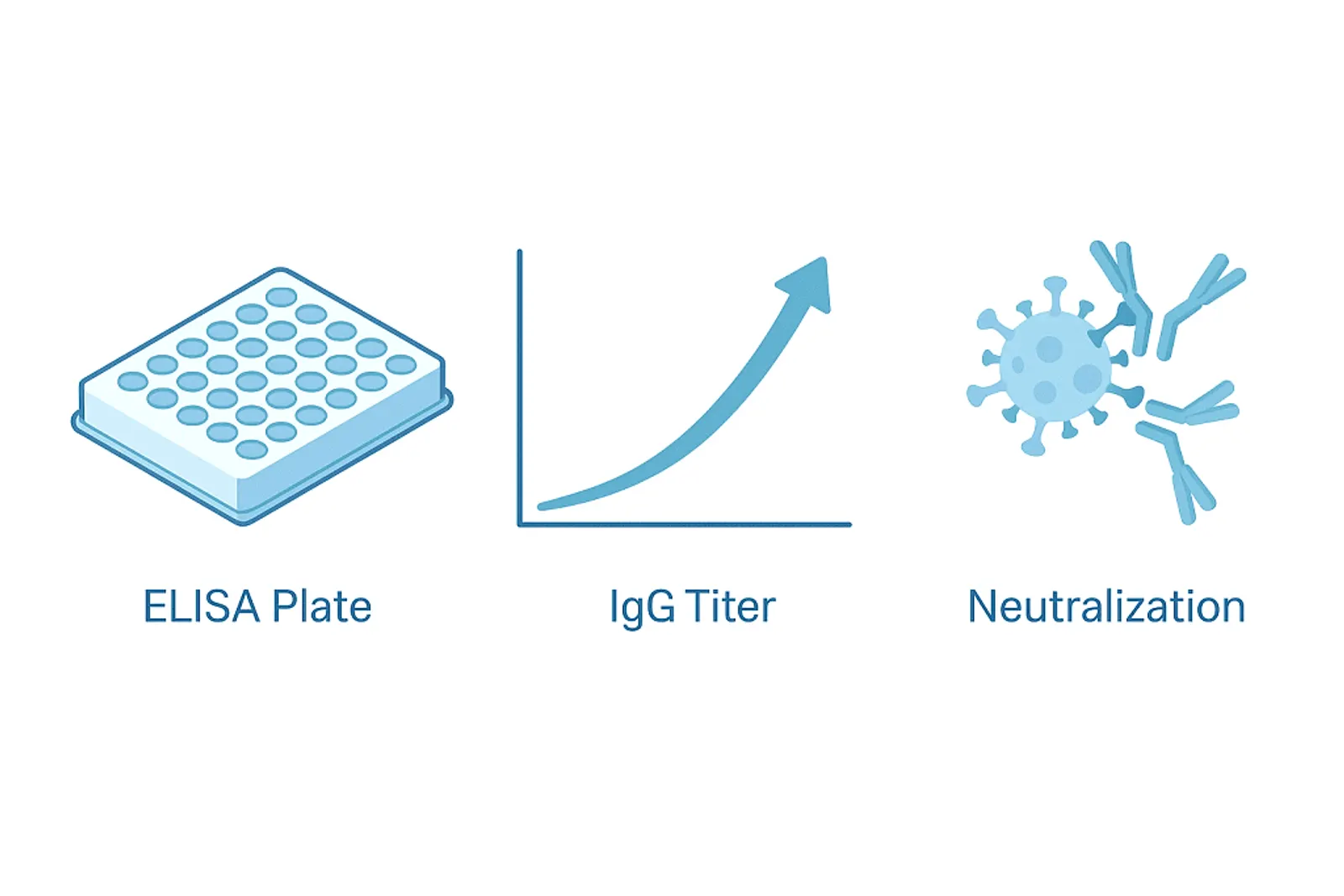 Medical illustration showing IgG antibody testing for convalescent plasma donors.