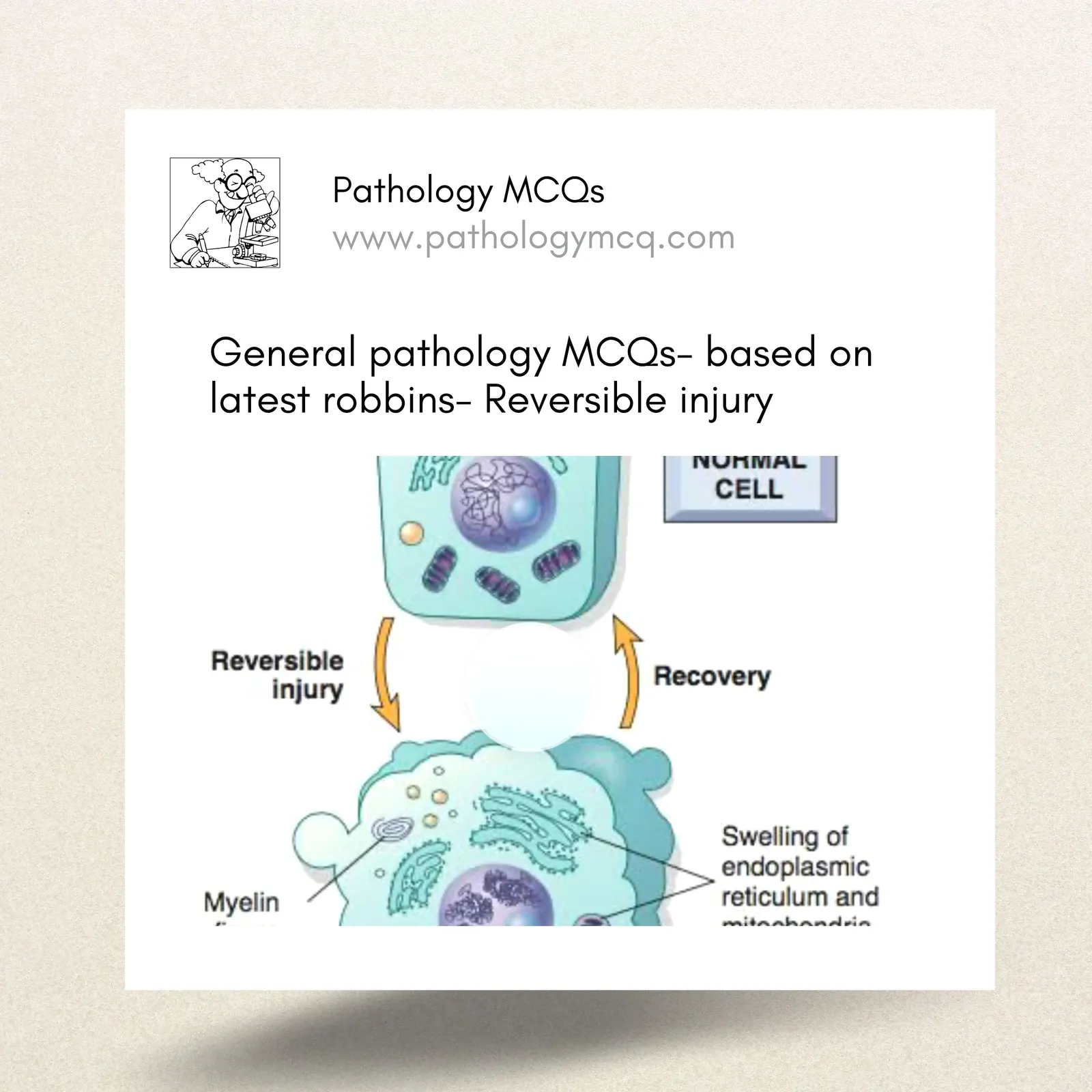 REVERSIBLE CELL INJURY: MECHANISM, MORPHOLOGY AND HIGH-YIELD MCQs