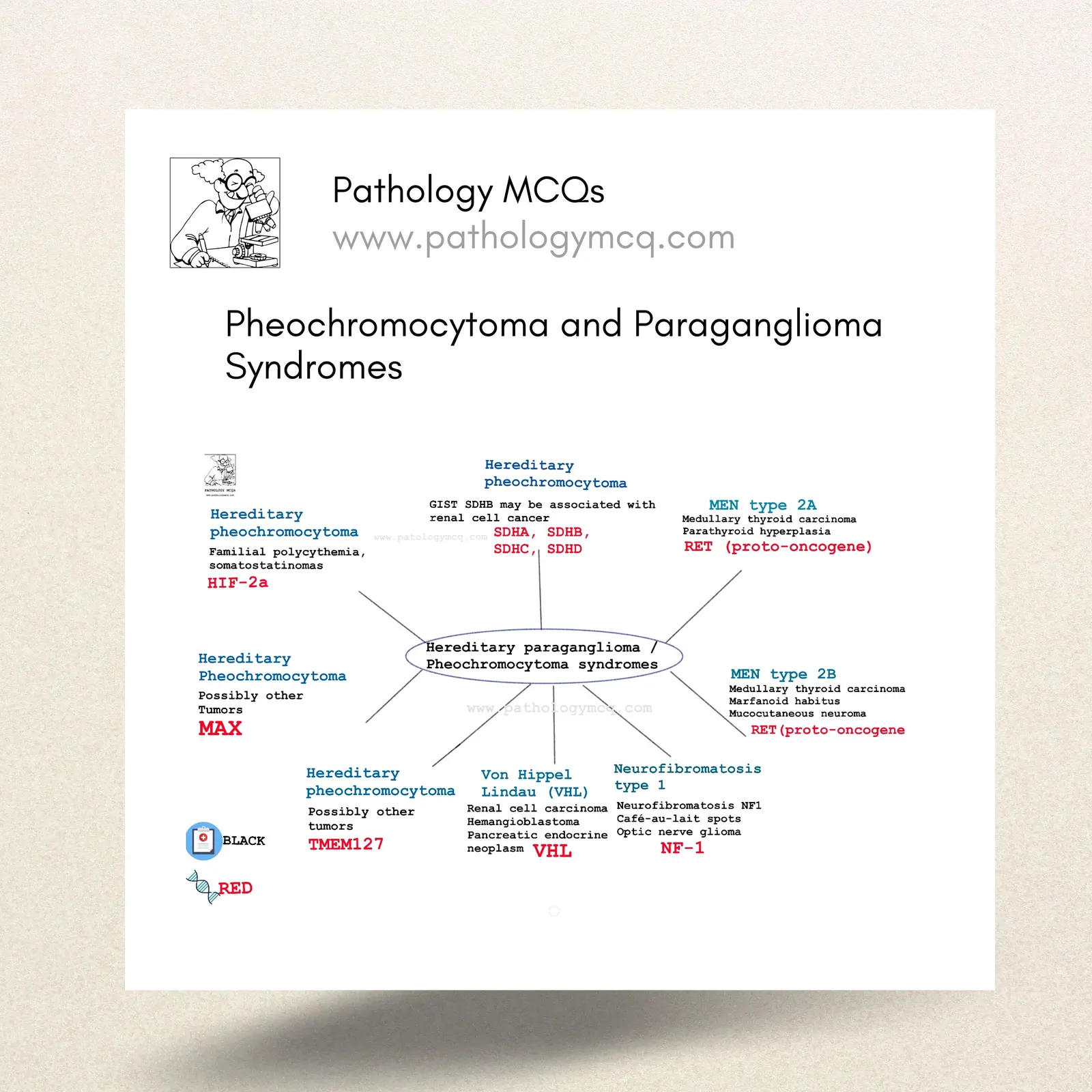 Pheochromocytoma and Paraganglioma Syndromes
