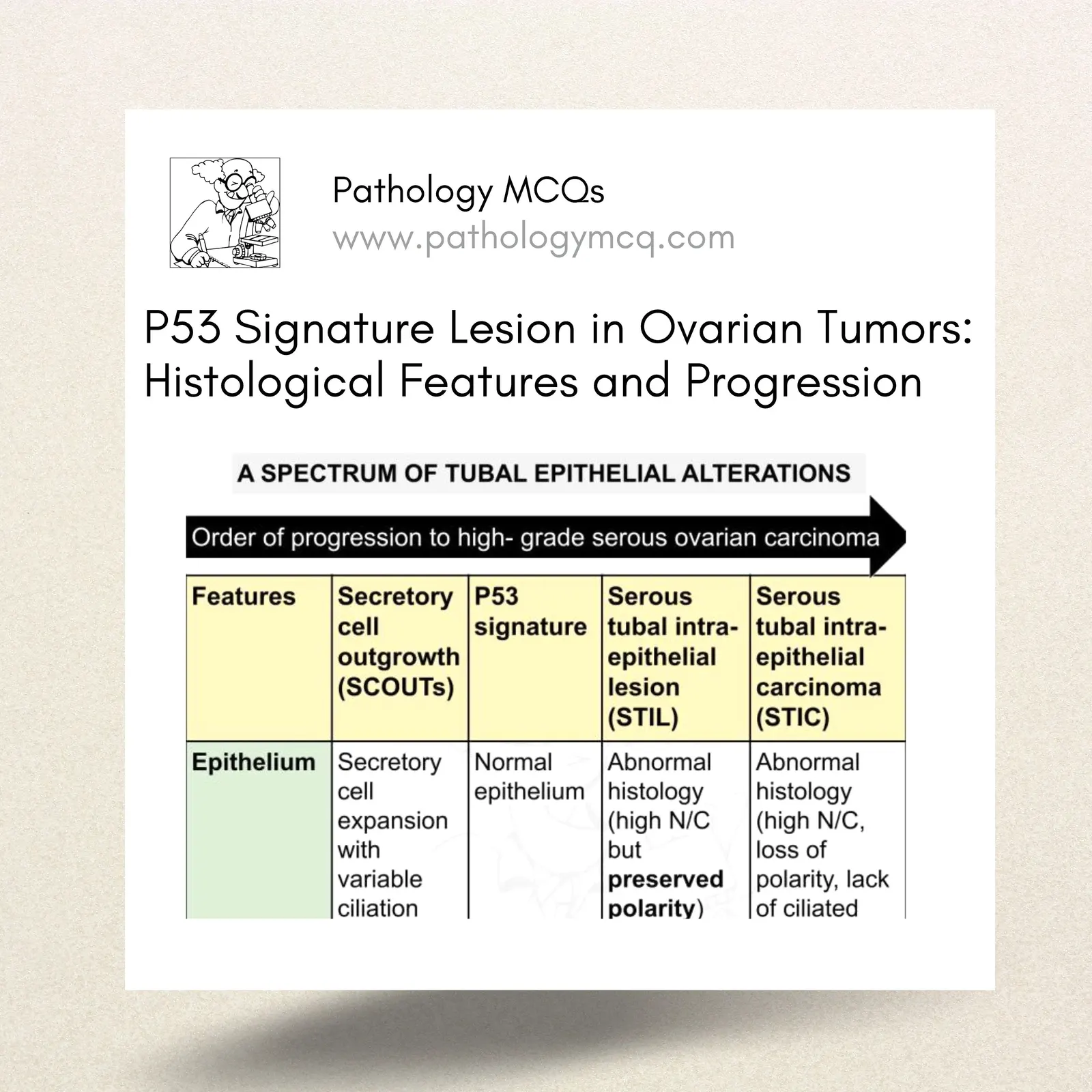 P53 Signature Lesion in Ovarian Tumors: Histological Features and Progression