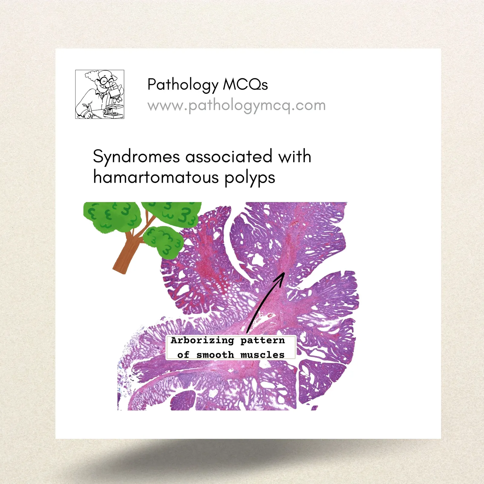Syndromes associated with hamartomatous polyps