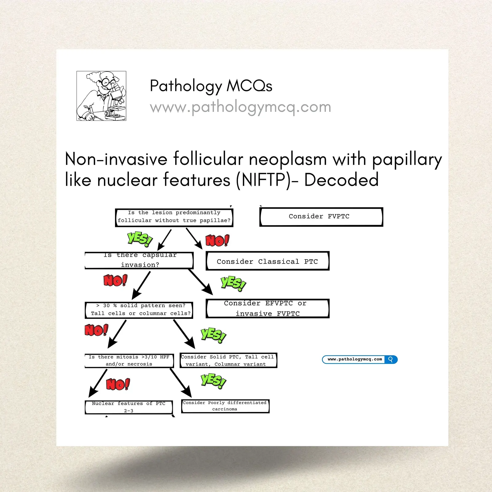 Non-Invasive Follicular Thyroid Neoplasm with Papillary-like Nuclear Features (NIFTP): A Comprehensive Diagnostic Guide