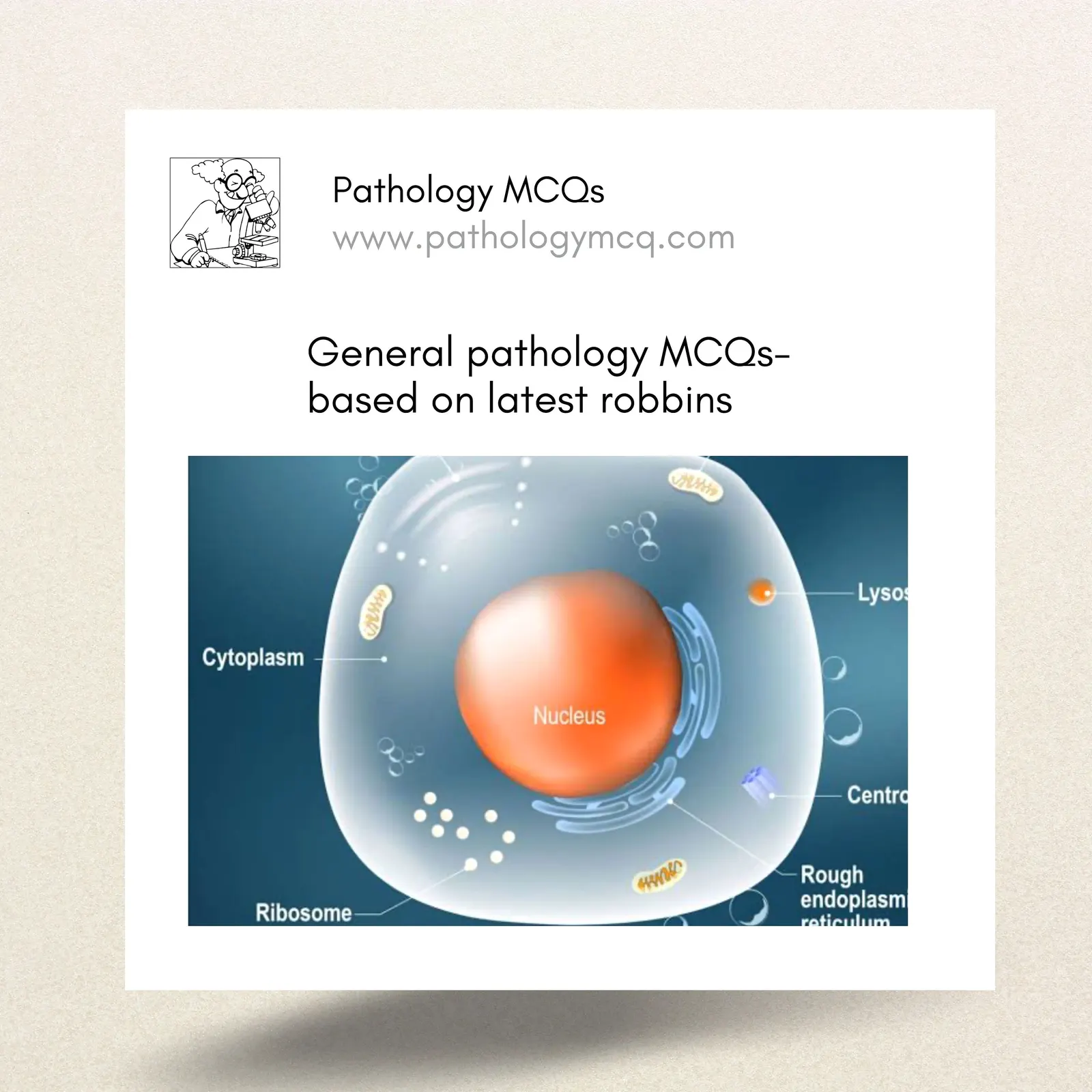 Cellular Housekeeping: The Key Maintenance Processes Every Med Student Should Know