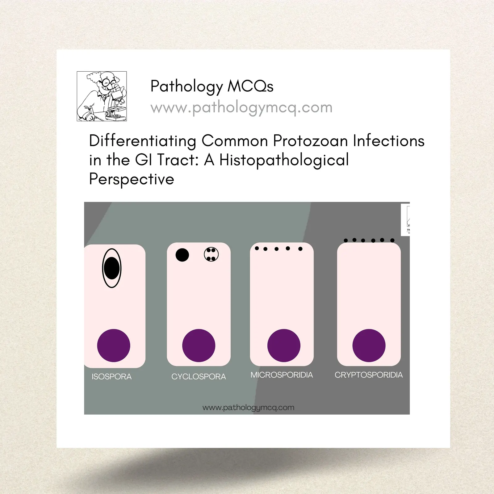 Differentiating Common Protozoan Infections in the GI Tract: A Histopathological Perspective