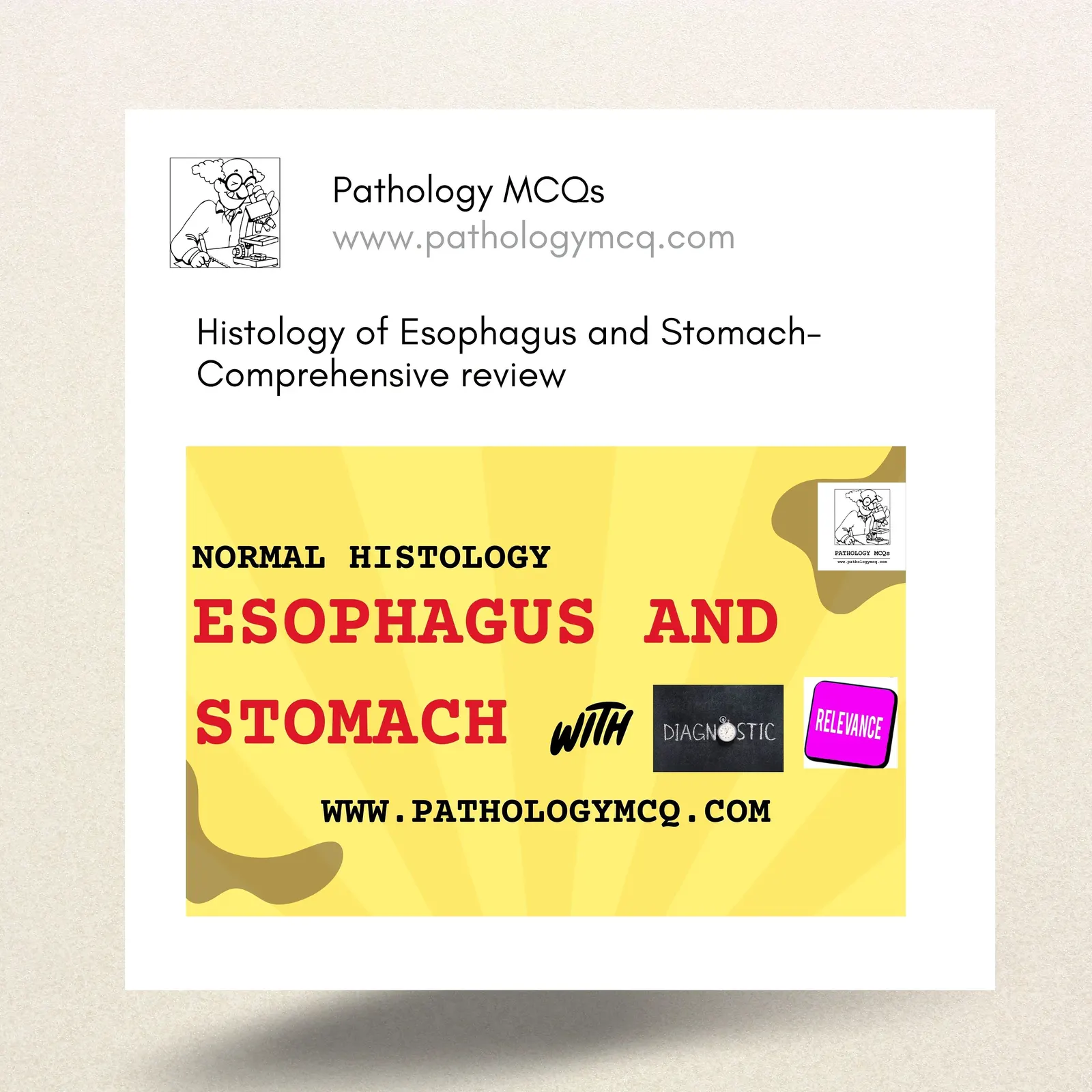 Histology of the Esophagus and Stomach: A Comprehensive Overview