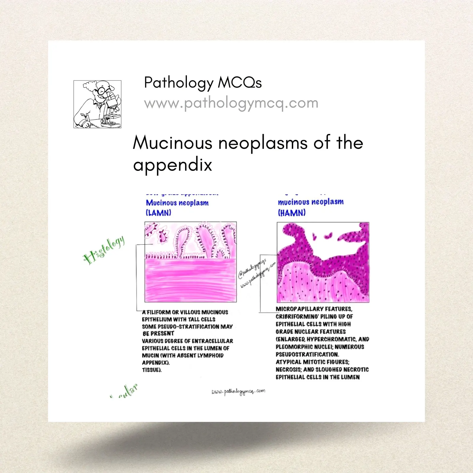 MUCINOUS NEOPLASMS OF THE APPENDIX