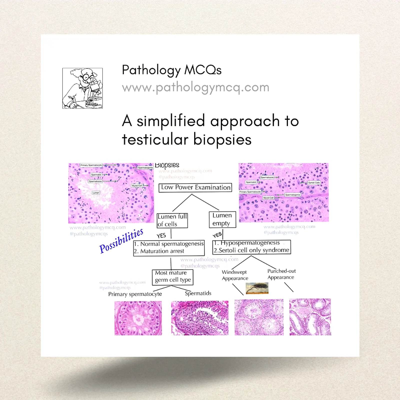 A Simplified approach to testicular biopsies