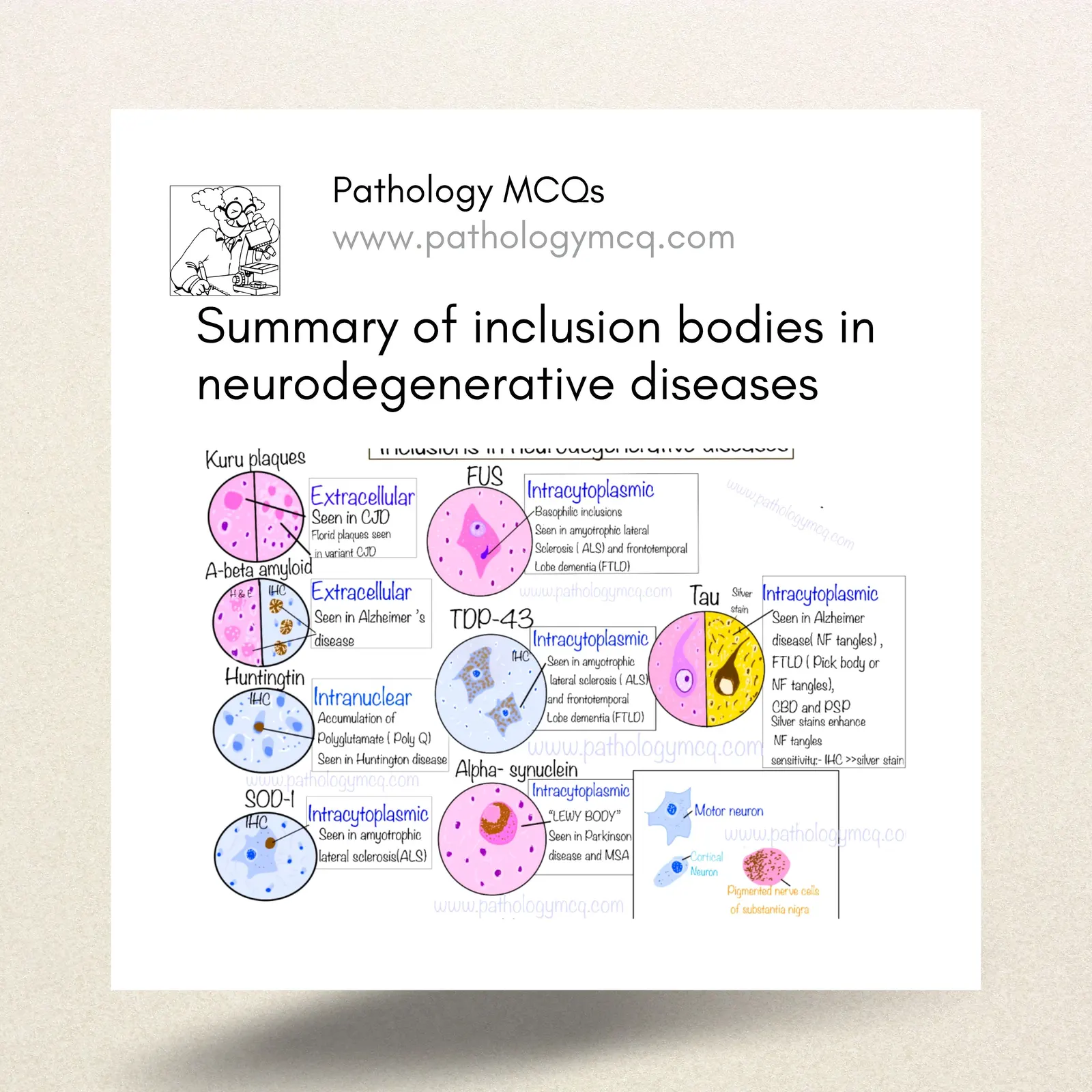Summary of inclusions associated with neurodegenerative diseases