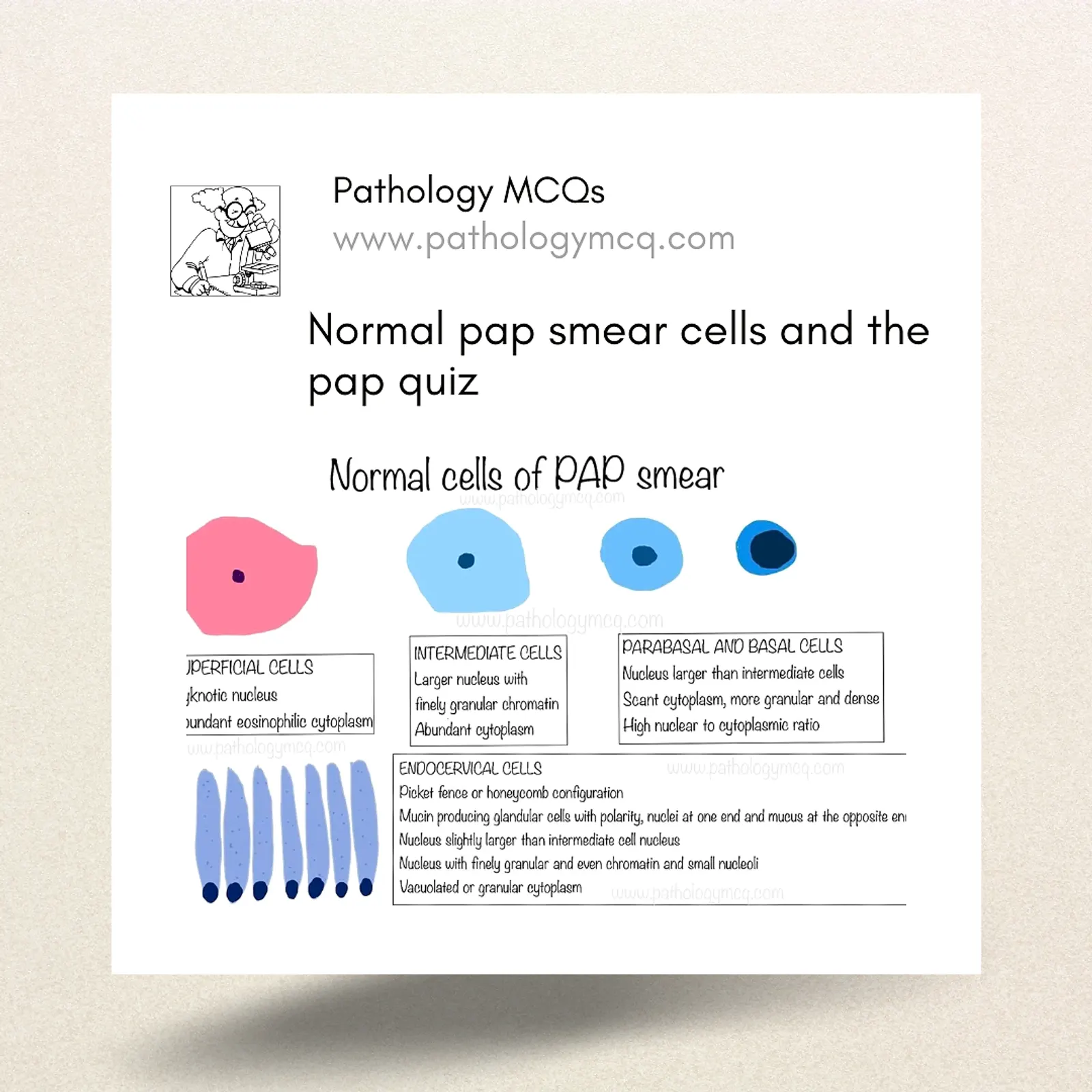 NORMAL PAP SMEAR CELLS AND THE PAP QUIZ