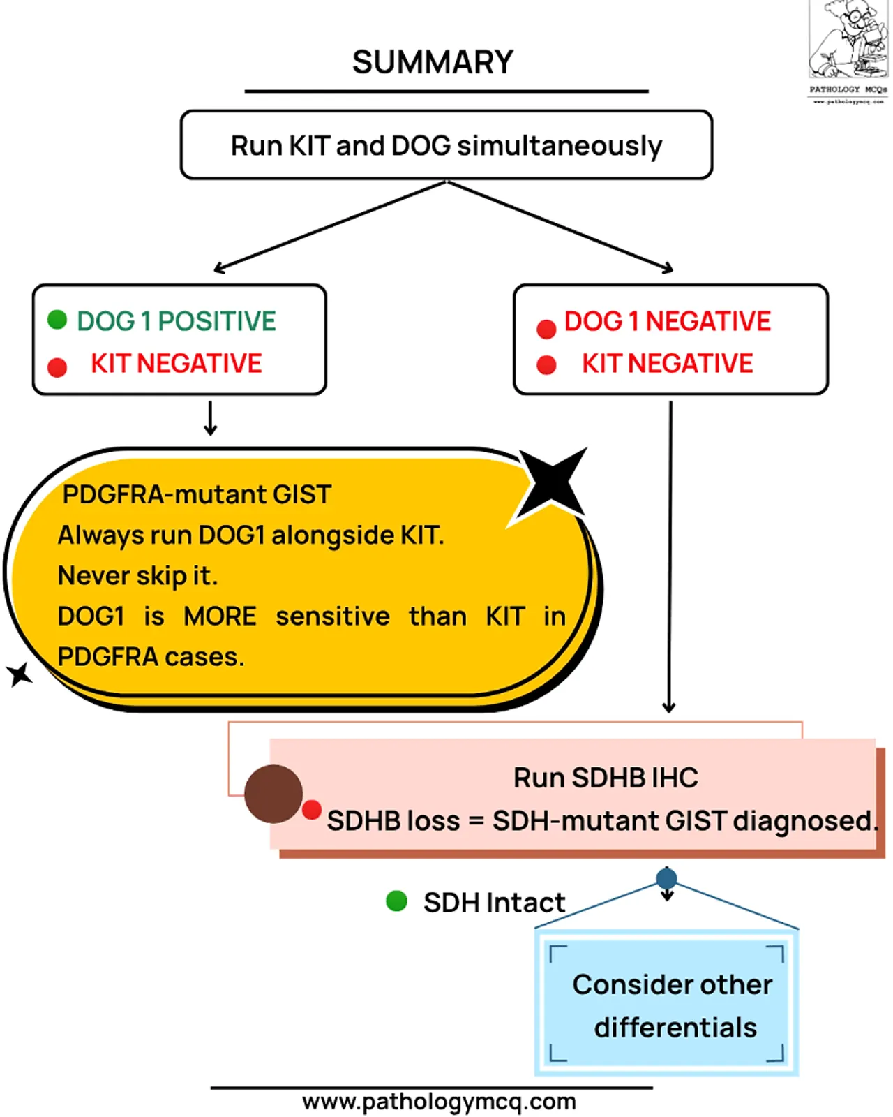 A flowchart summarizing diagnostic steps for GIST, emphasizing simultaneous testing for KIT and DOG1, and outlining interpretations for PDGFRA mutations and SDHB IHC results.