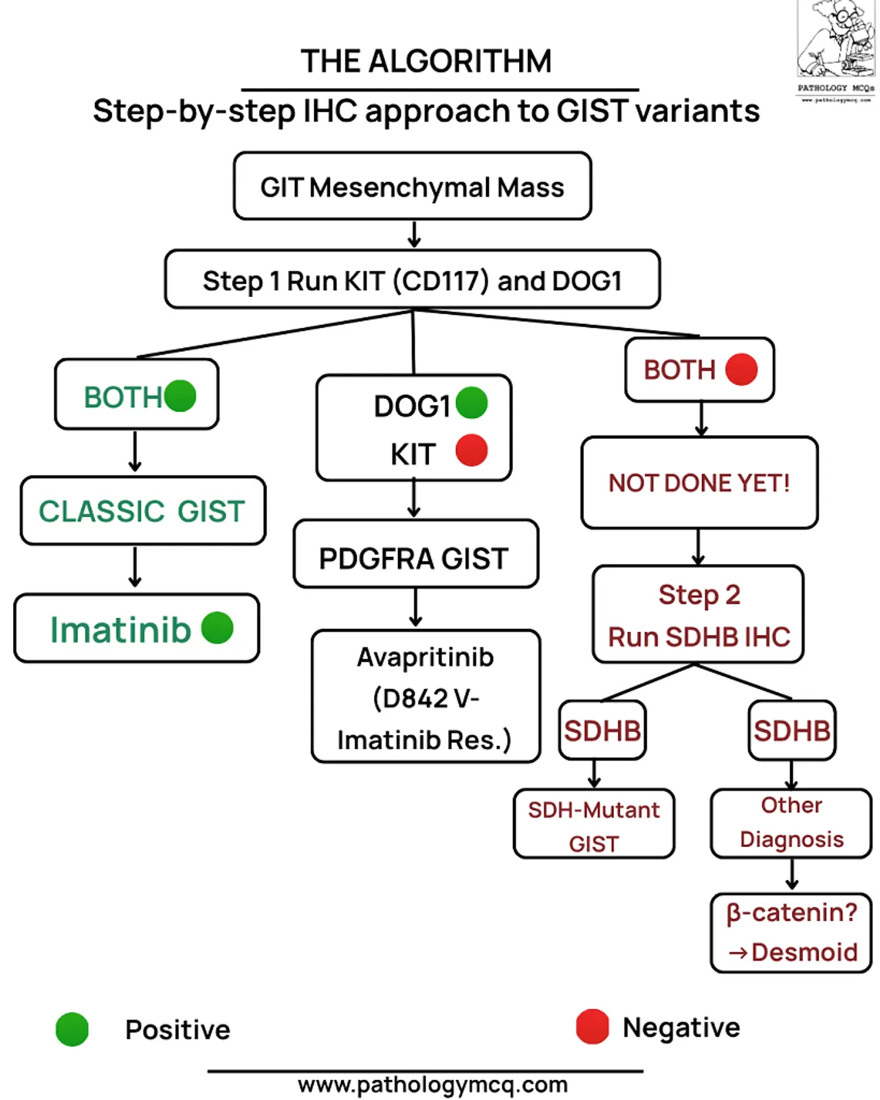 Flowchart outlining a step-by-step immunohistochemistry (IHC) approach to diagnose gastrointestinal stromal tumors (GIST) variants, including testing for KIT (CD117) and DOG1 markers, and further steps for PDGFRA GIST and SDHB IHC.