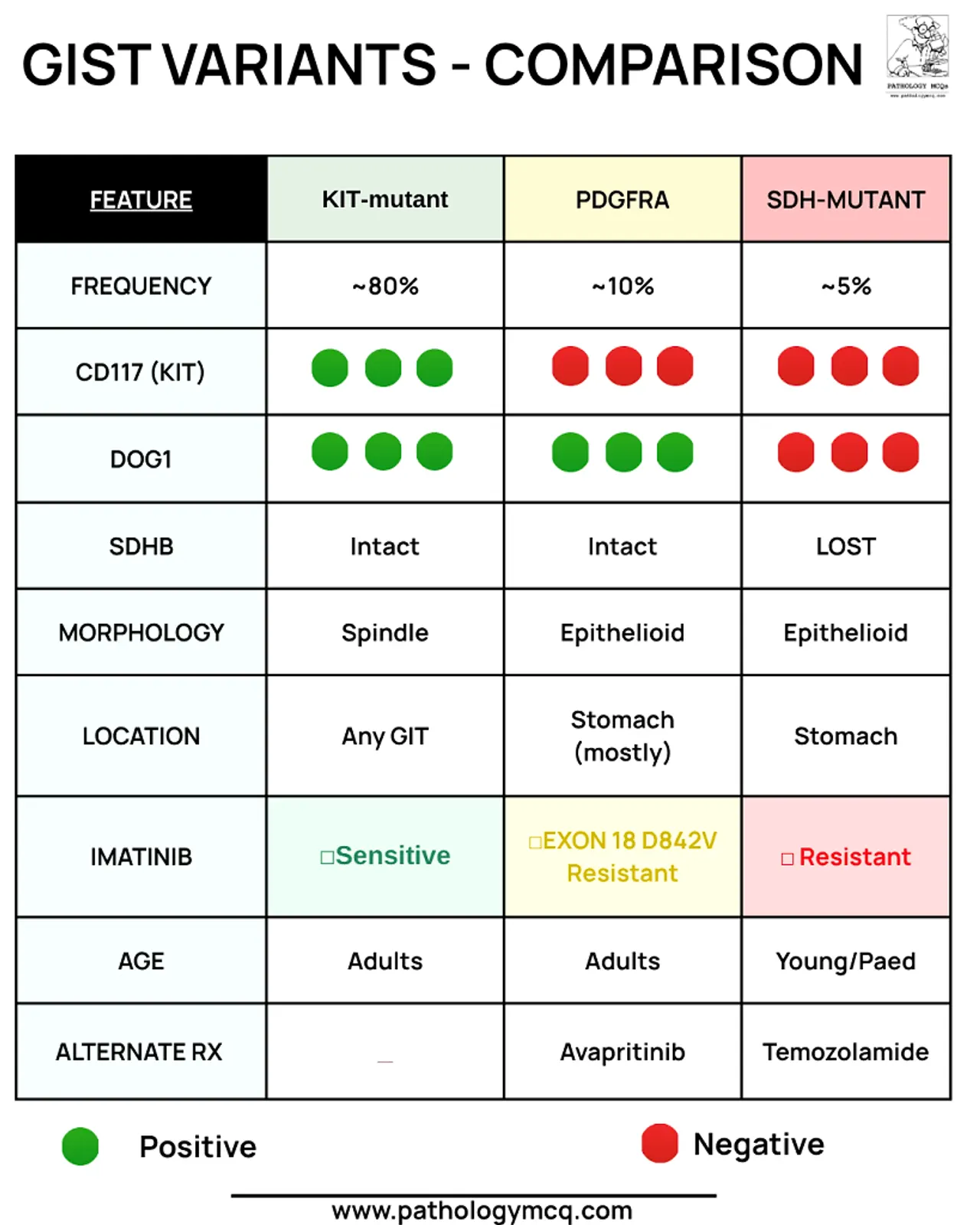 Comparison table of GIST variants including KIT-mutant, PDGFRA, and SDH-mutant features such as frequency, CD117, DOG1 status, SDHB integrity, morphology, location, imatinib sensitivity, age demographics, and alternative treatments.
