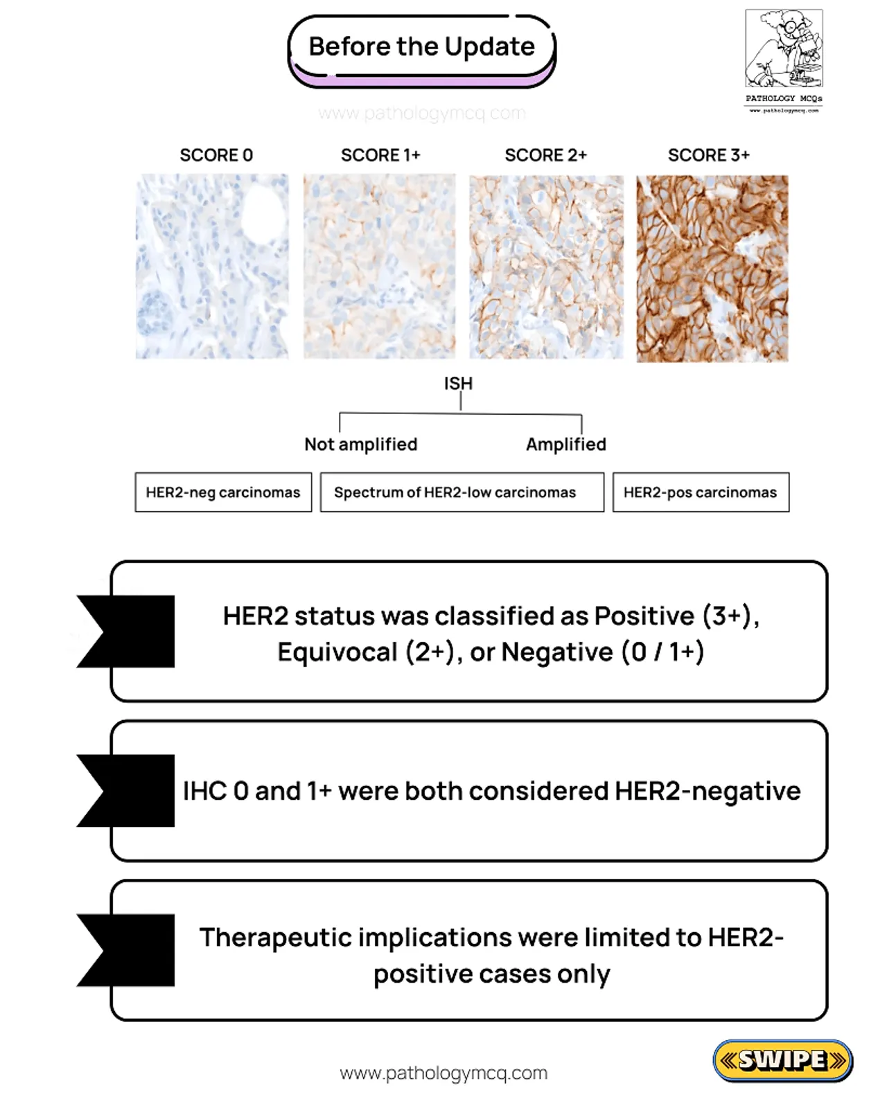 HER2 IHC scores 0, 1+, 2+, 3+ showing CAP interpretation before 2025 update