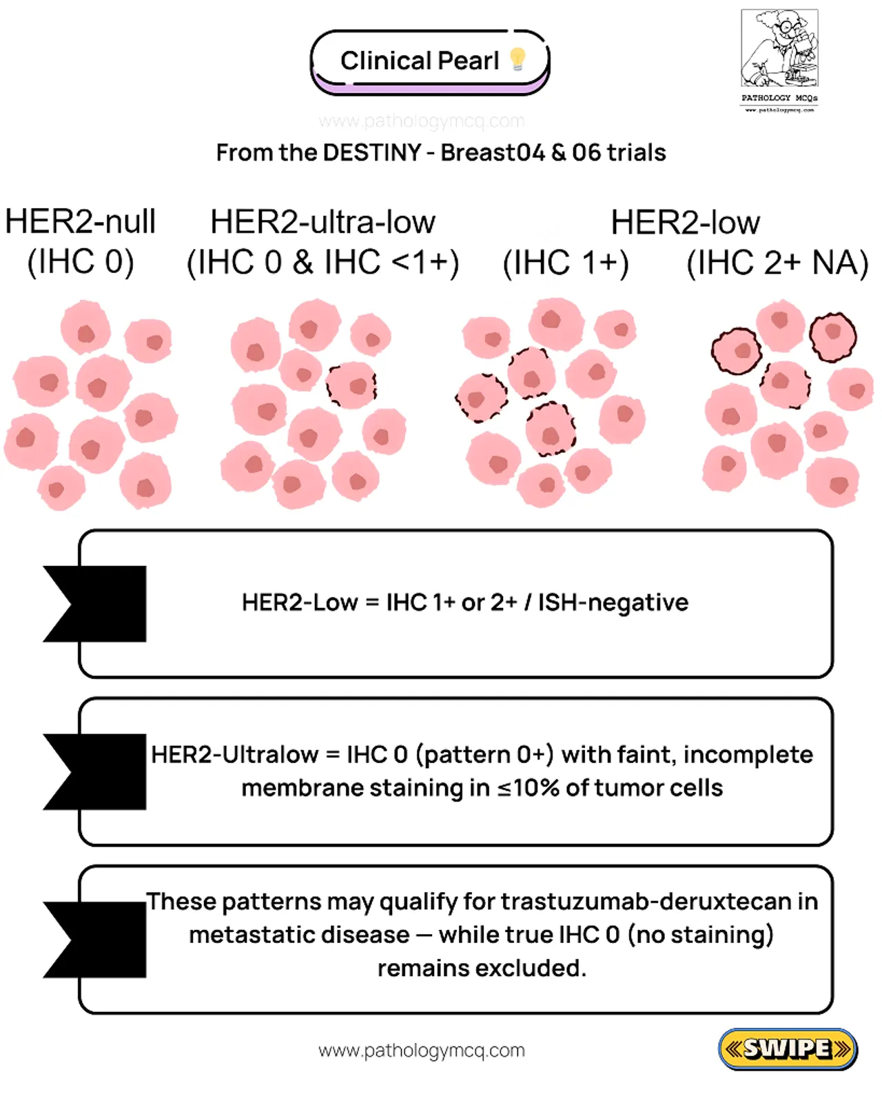 IHC CAP 2025 guideline update visual announcing Low and Ultra-Low HER2 protocol changes