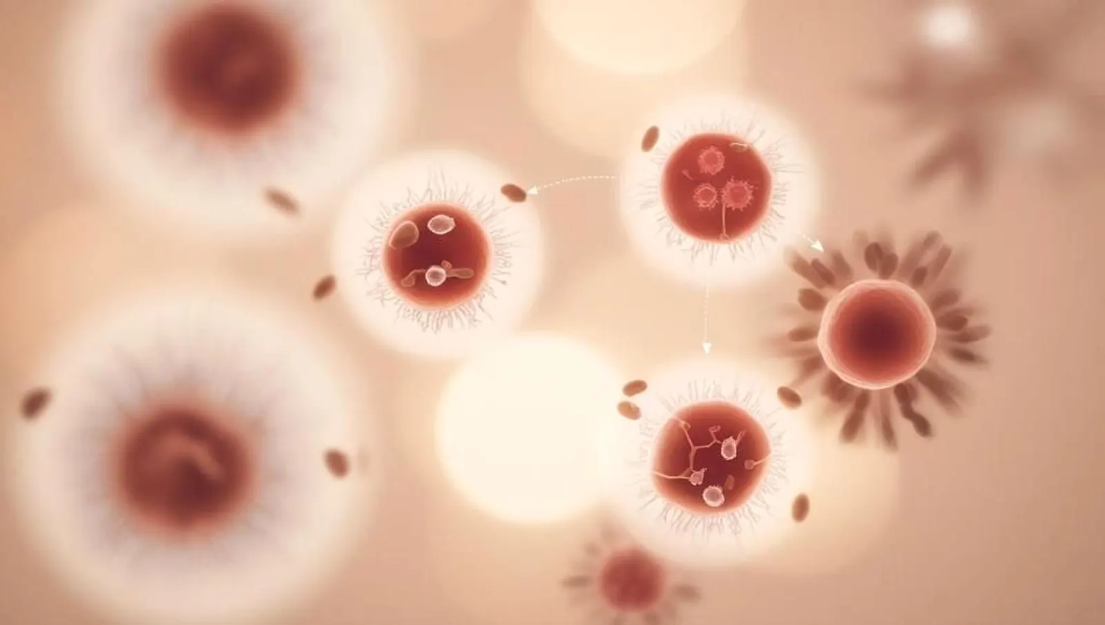 Illustration of biological cells interacting, showcasing a dynamic exchange with circular cells and elements representing cellular processes in a soft-focus background.