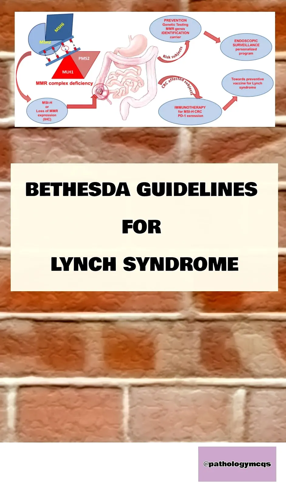 Bethesda guidelines to diagnose Lynch syndrome